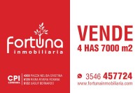 VENTA DE CUATRO HECTAREAS 7000M2_thumb_14